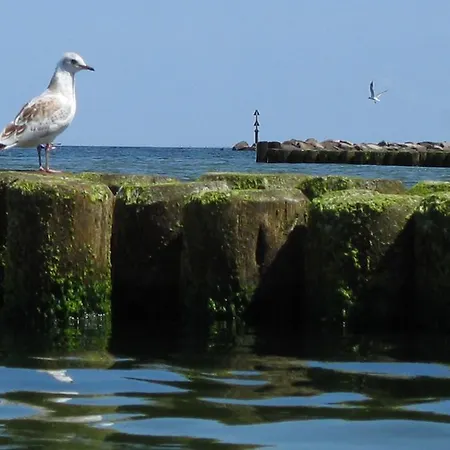 Ferienwohnung Koserow *
